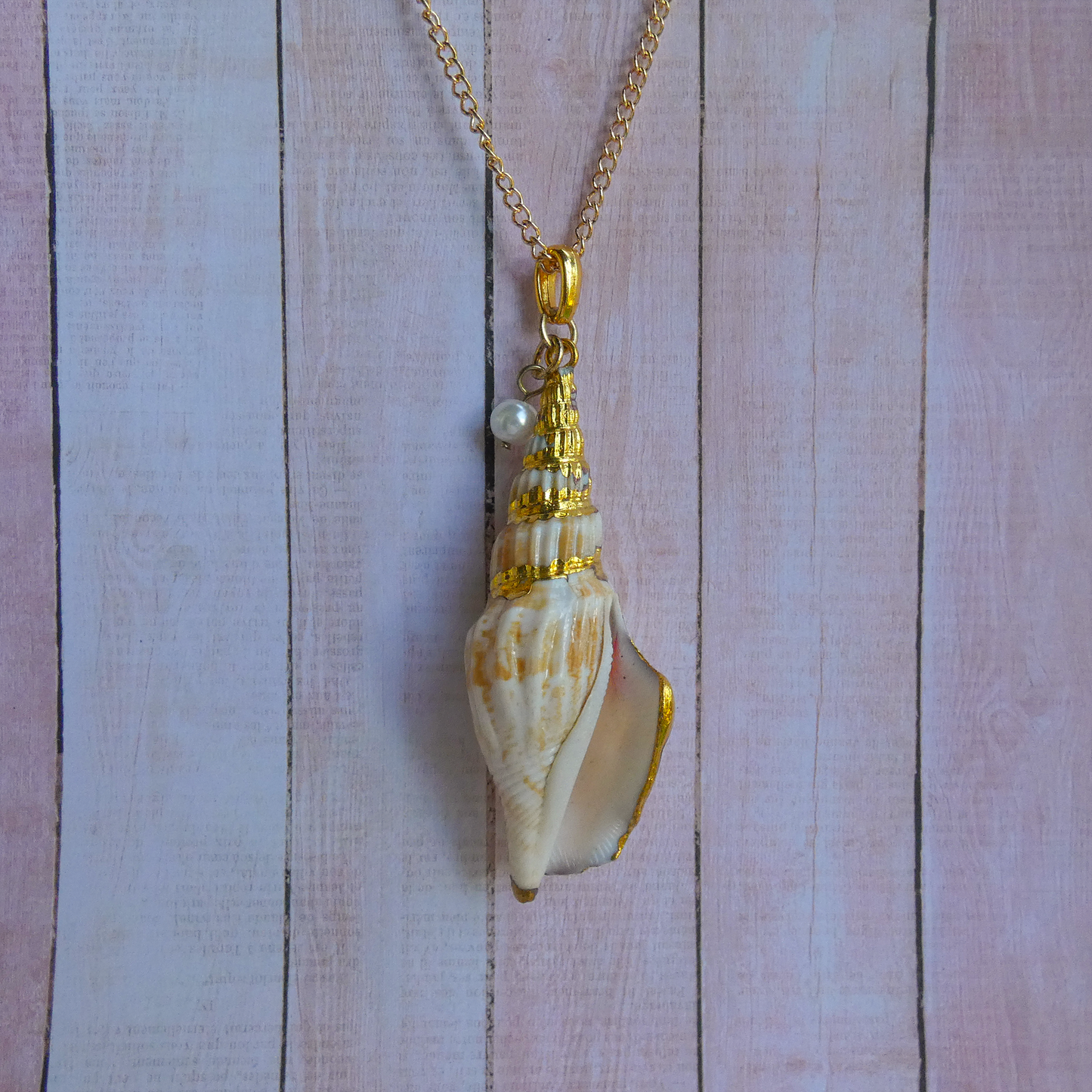 Gold Trimmed Seashell Necklace